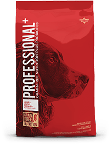 Professional+ Lamb and Lentils Formula for Adult Dogs | Professional+ Pet Food